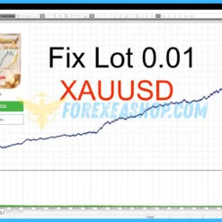 Dynamic Liquidity Intelligence Backtesting1