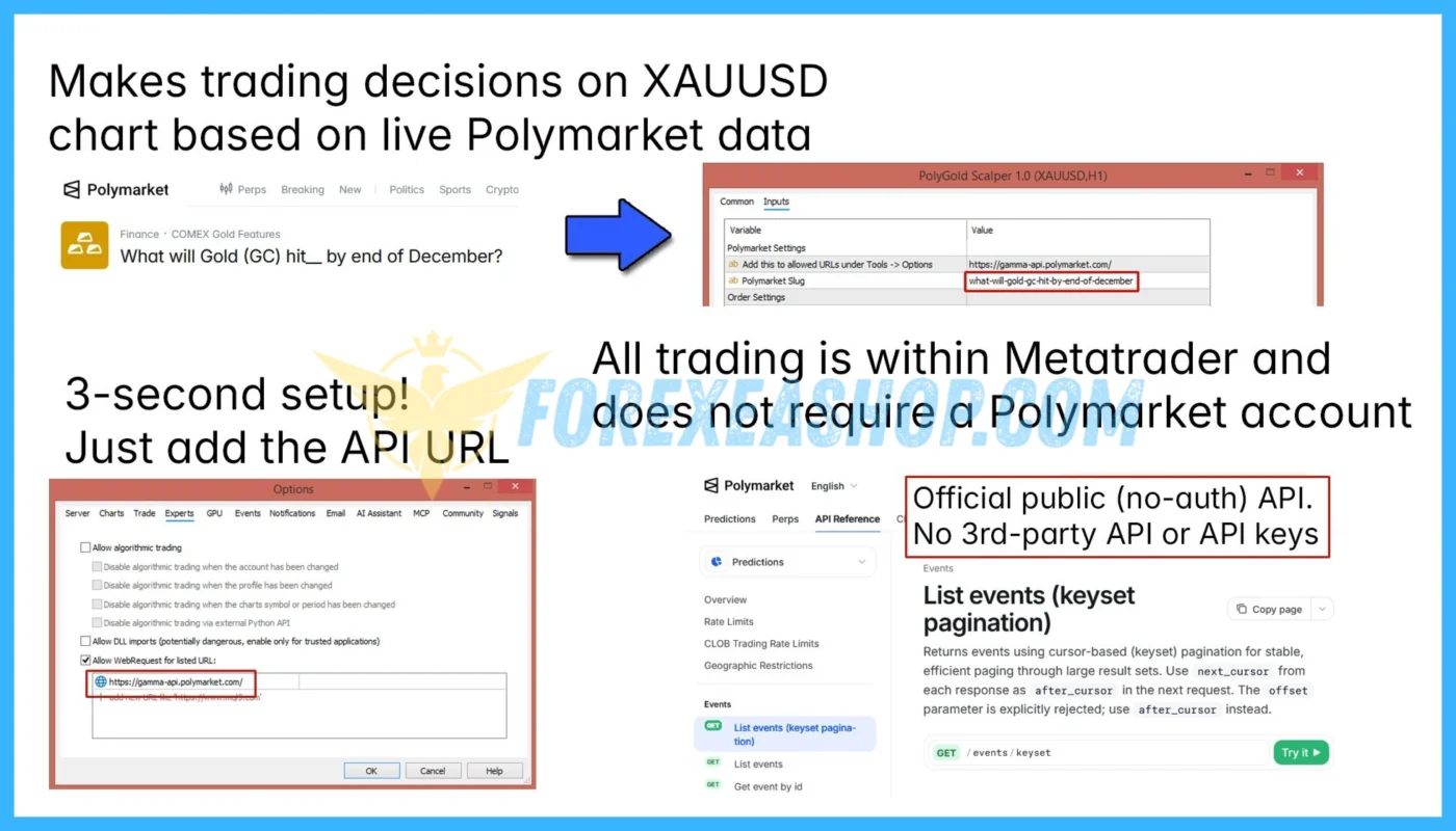 PolyGold Scalper Reviews3