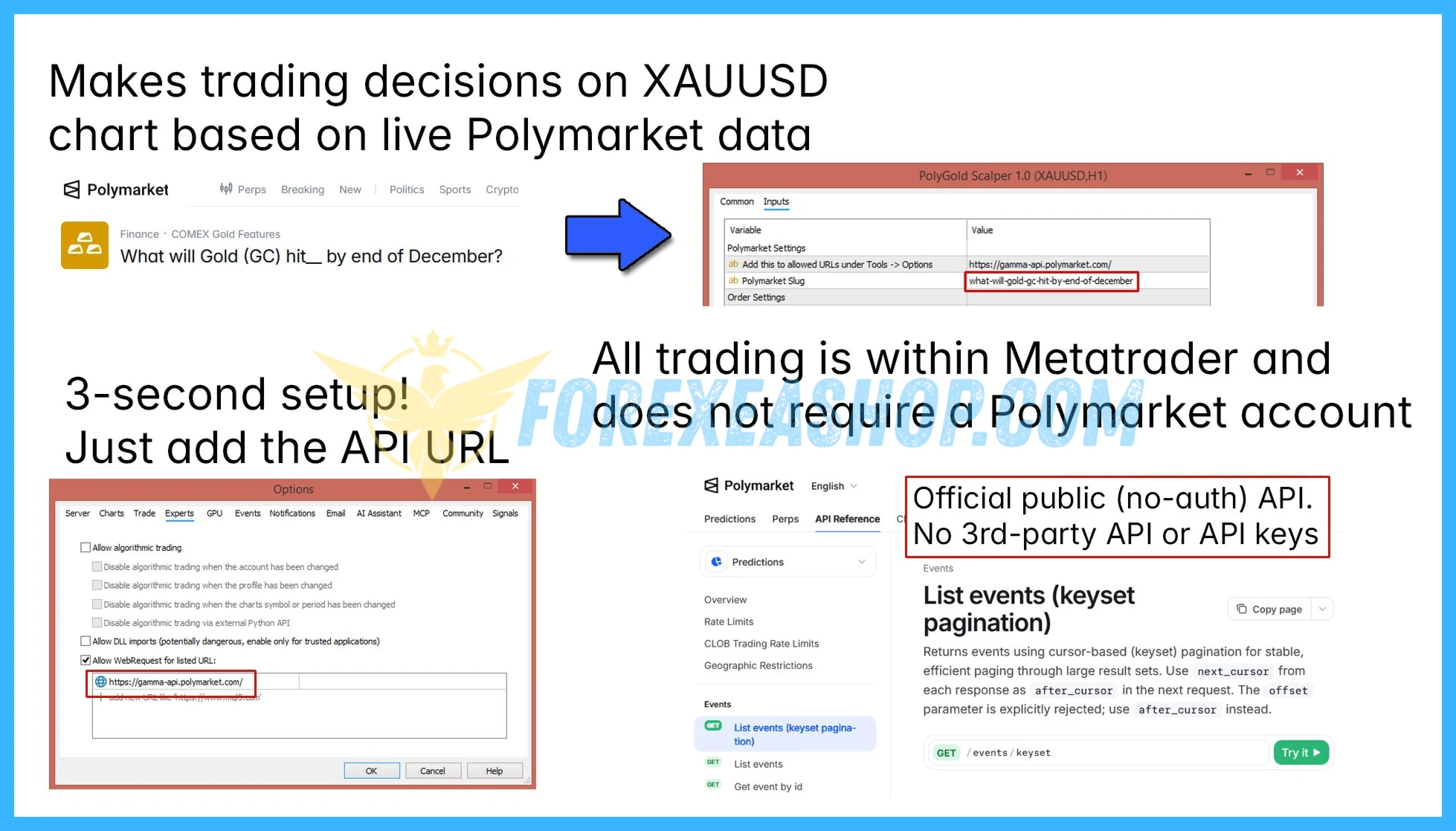 PolyGold Scalper Reviews3
